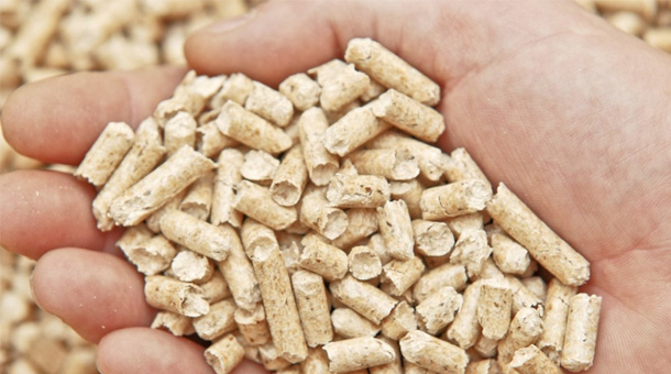 Pellet